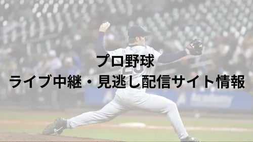プロ野球 阪神タイガース戦の画像